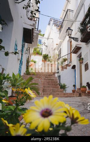 D'en-dessous de beaux bâtiments résidentiels blancs avec balcons avec des marches pavées et des rampes avec des fleurs jaunes et des plantes en pot placé sur la rue Banque D'Images