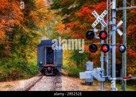 Essex Steam train - vue sur la voiture arrière du train à vapeur n° 40 en voyage entouré par les couleurs chaudes de l'automne en Nouvelle-Angleterre. Cette image est également Banque D'Images