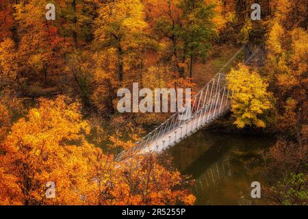 Passerelle Bear Mountain - admirez le parc national de Bear Mountain Bridge pendant le pic du feuillage d'automne. La passerelle Popoloopen est également visible de cette uppe Banque D'Images