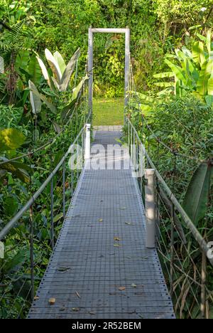 Pont suspendu, Mindo Cloud Forest, Équateur. Banque D'Images