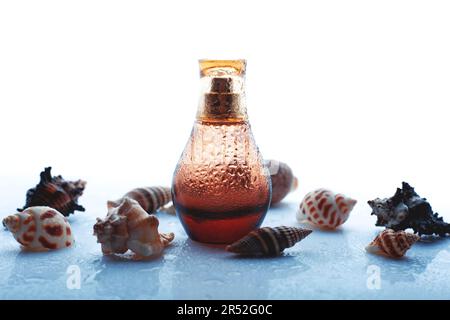 vaporisateur de parfum humide avec coquilles Banque D'Images