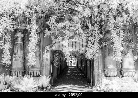 Egyptian Avenue dans Highgate Cemetery West, Londres Banque D'Images