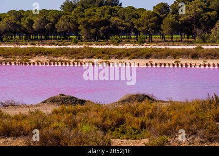 La production de sel, le lagon rose et les collines de la mer Méditerranée se trouvent à Aigues-mortes . Camargue, France. Photo de haute qualité. Phot de haute qualité Banque D'Images