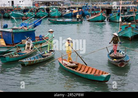 Femmes avec des chapeaux coniques, dans les bateaux d'aviron traditionnels, Phu Quoc Island, Vietnam Banque D'Images