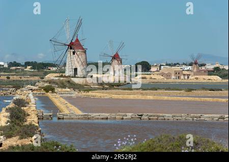 Moulins à vent, Marsala Salt Works, province de Trapani, Sicile, Italie, sel, production de sel, sel de mer, production de sel de mer Banque D'Images