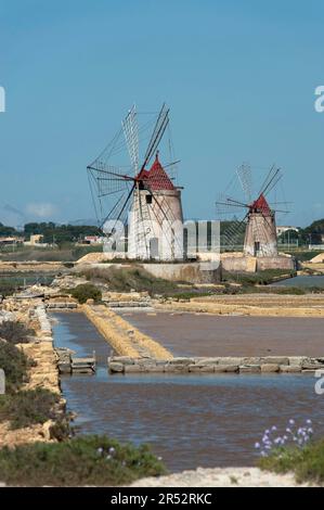 Moulins à vent, Marsala Salt Works, province de Trapani, Sicile, Italie, sel, production de sel, sel de mer, production de sel de mer Banque D'Images