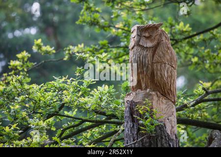 Sculpture en bois de souche d'arbre, hibou (Quercus robur) Banque D'Images