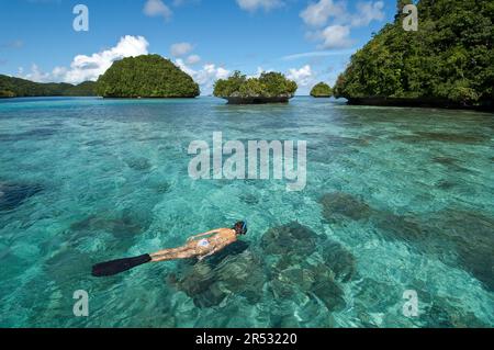 Snorkelers, lagune, Palau, Archipel de Bismarck, Micronésie Banque D'Images