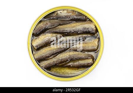 Les sardines dans le métal rond ouvert à l'huile peuvent être isolées sur fond blanc Banque D'Images