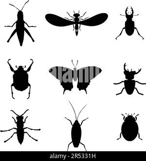 Collection d'insectes silhouettes noirs dans une illustration vectorielle plate Illustration de Vecteur