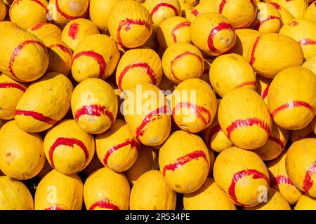 Canary Melons à vendre à Marrakech, Maroc Banque D'Images