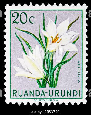 MOSCOU, RUSSIE - 18 MAI 2023 : timbre-poste imprimé à Ruanda-Urundi montre Vellozia, série Flora, vers 1953 Banque D'Images