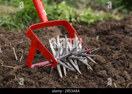 Cultivateur outil manuel efficace pour le travail du sol. lit de desserrage Banque D'Images