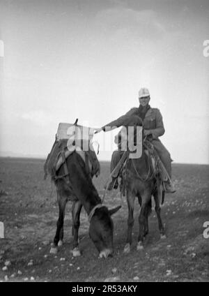 Schwere Feldhaubitze SFH 18 15 cm Wehrmacht Heer 3. Reich - Howitzer Heavy Field modèle 18 15cm / 150mm Armée allemande / Allemagne nazie Banque D'Images