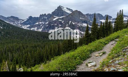 Mt. Gould - Vue rapprochée sur le mont Gould et Angel Wing lors d'une soirée printanière houleuse. Nombreux glaciers, parc national des Glaciers, Montana, États-Unis. Banque D'Images