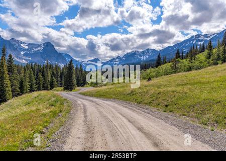 Spring Mountain Road - Une route de campagne de terre qui s'enroule dans la vallée de Cut Bank vers les hauts sommets de Lewis Range lors d'une soirée printanière dans le parc national des Glaciers. Banque D'Images