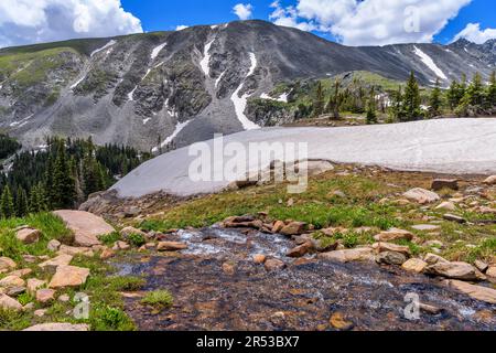 Spring Mountain Creek - Une crique de montagne qui descend du sommet de la montagne enneigée. Sentier du col Pawnee. Indian Peaks Wilderness, Colorado, États-Unis. Banque D'Images