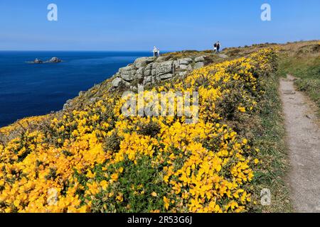 Le sentier de la côte sud-ouest près des Brison et de Cape Cornwall St juste Cornwall West Country England UK Banque D'Images