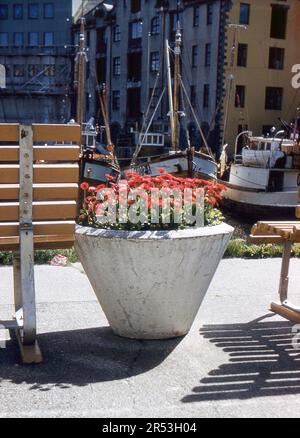 Ålesund, Norvège. Vers. 1960 – jolie décoration florale à bord d'un quai à Ålesund, Møre og Romsdal. Les bateaux de pêche sont amarrés en arrière-plan. Banque D'Images