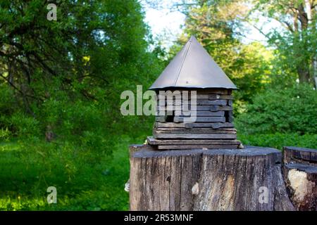 Mangeoire en bois pour les animaux sauvages vivant dans le bosquet. Un mangeur pour écureuils et autres rongeurs fait dans une forme de maison dans le parc. Banque D'Images