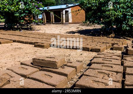 Dans de nombreux villages du Malawi, les briques pour les maisons sont formées d'argile et cuites au feu de bois. Monkey Bay, Malawi Banque D'Images