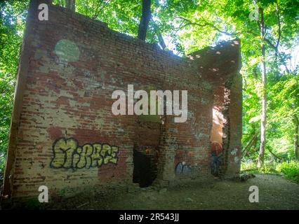 Un bâtiment abandonné dans un parc Banque D'Images