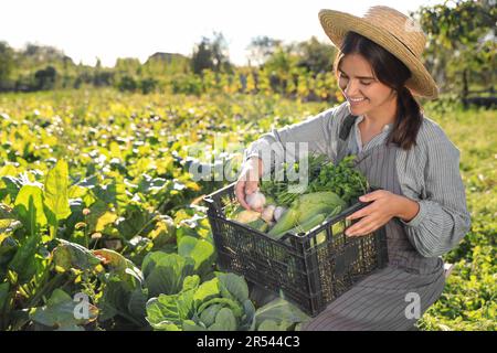 Femme moissonnant différents légumes frais mûrs à la ferme Banque D'Images