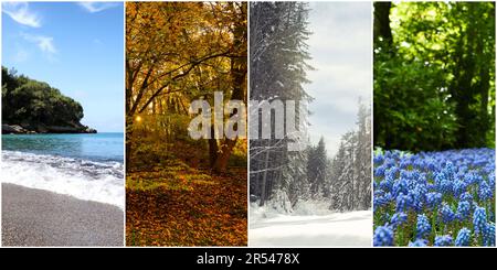 Quatre saisons. Motif collage avec de belles photos de la nature Banque D'Images