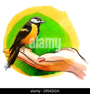 Nourrir un oiseau à la main. Encre et aquarelle dessinées à la main sur papier Banque D'Images