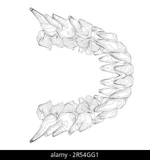 Contour des dents. Différents types de collection de dents humaines dessinés à la main. Modèle graphique pour dentiste. Fangs de gravure et molaires. Soins dentaires oraux. Mal de dents Illustration de Vecteur
