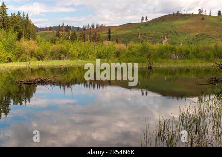 Image horizontale de Beaver Pond, près de Chickadee Trailhead, près de Sun Mountain Lodge, dans le comté d'Okanogan, Washington, États-Unis. Banque D'Images