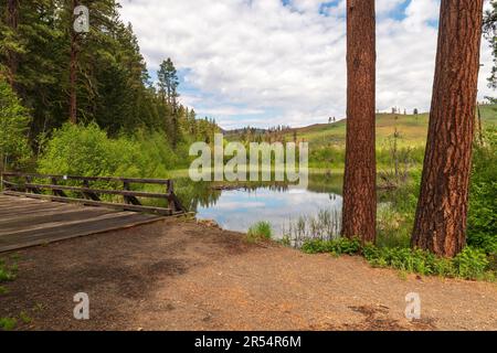 Un pont en bois traverse le Beaver Pond à Chicakdee Trailhead, sur Sun Mountain, dans le comté d'Okanogan, dans l'État de Washington, aux États-Unis. Banque D'Images