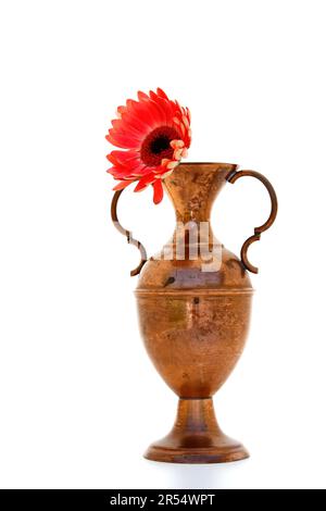 Vase en laiton avec gerbera rouge Banque D'Images