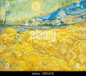 Vincent van Gogh, champ de blé derrière l'hôpital Saint-Paul avec une couche, peinture de paysage 1889 Banque D'Images