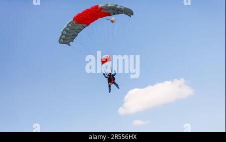 Skydiver avec une petite voûte d'un parachute sur le fond un ciel bleu, gros plan. Parachutisme sous parachute Banque D'Images