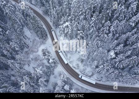 Convoi de camions se déplaçant pendant la chute de neige sur la route sinueuse et sinueuse de montagne qui traverse une forêt de pins enneigés Banque D'Images