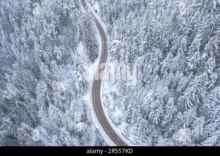 Sinueuse et sinueuse, route de montagne sinueuse passant à travers une forêt de pins enneigés avec des chutes de neige Banque D'Images