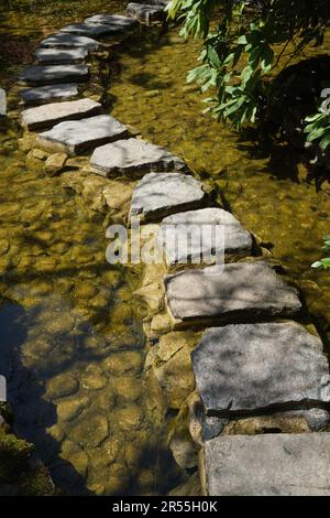 Pierres à pas dans le jardin japonais à Butchart Gardens, Victoria, île de Vancouver, Colombie-Britannique, Canada Banque D'Images