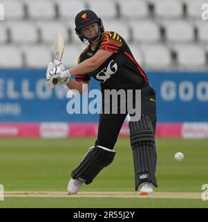 Northampton 31 mai : DANÉ van NIEKERK de Sunrisers pendant la coupe Charlotte Edwards : Sunrisers vs Weston tempête au sol du comté Northampton sur 31 mai 2023 Northampton Angleterre . Banque D'Images