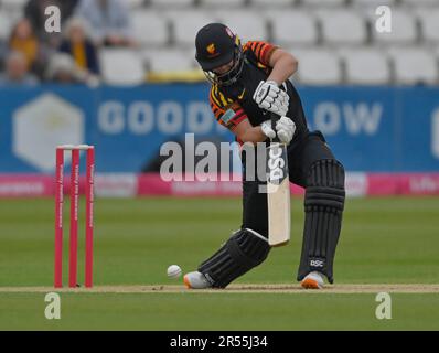 Northampton 31 mai : DANÉ van NIEKERK de Sunrisers pendant la coupe Charlotte Edwards : Sunrisers vs Weston tempête au sol du comté Northampton sur 31 mai 2023 Northampton Angleterre . Banque D'Images