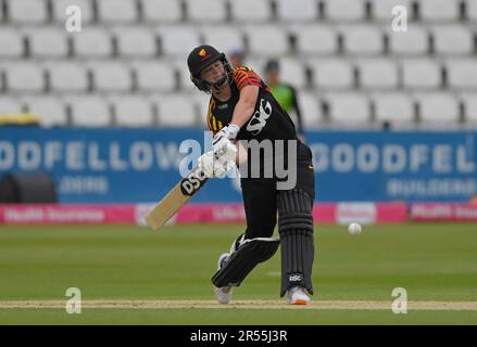 Northampton 31 mai : DANÉ van NIEKERK de Sunrisers pendant la coupe Charlotte Edwards : Sunrisers vs Weston tempête au sol du comté Northampton sur 31 mai 2023 Northampton Angleterre . Banque D'Images