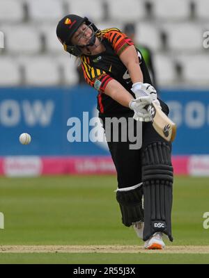 Northampton 31 mai : DANÉ van NIEKERK de Sunrisers pendant la coupe Charlotte Edwards : Sunrisers vs Weston tempête au sol du comté Northampton sur 31 mai 2023 Northampton Angleterre . Banque D'Images