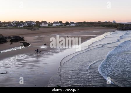 Clohars-Carnoet (Bretagne, nord-ouest de la France) : plage le soir au Pouldu Banque D'Images