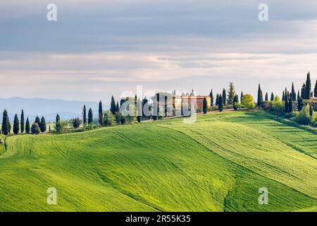 Maisons sur une colline parmi les champs et les arbres Banque D'Images