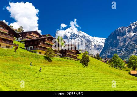 Chalets en bois suisse avec les montagnes Wetterhorn et Mattenberg à Grindelwald, Alpes suisses, Suisse Banque D'Images