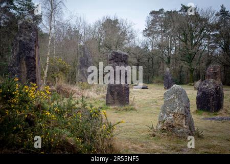 Forêt de Broceliande (Bretagne, Nord-Ouest de la France) : menhirs, pierres debout du Monteneuf Banque D'Images