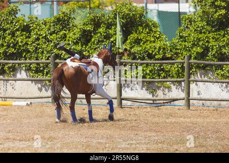 Sport équestre - un enfant tombant d'un cheval au ranch. Mid shot Banque D'Images