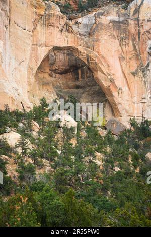 Monument national El Malpais dans l'ouest du Nouveau-Mexique Banque D'Images