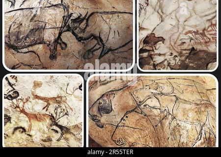 L'art mural paléolithique de la célèbre Grotte Chauvet en France est l'un des plus importants sites préhistoriques européens. Banque D'Images