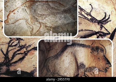 L'art mural paléolithique de la célèbre Grotte Chauvet en France est l'un des plus importants sites préhistoriques européens. Banque D'Images